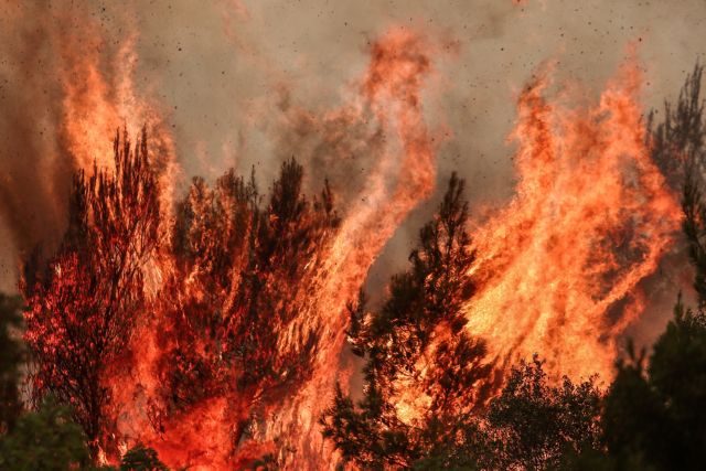 Φωτιά στη Βαρυμπόμπη – Αγωνία για τα πρώην βασιλικά ανάκτορα Τατοΐου – «Πρόκειται για εμπρησμό» | tovima.gr