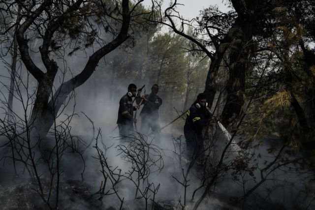 Φωτιά στην Αττική – Ξεκίνησαν ρίψεις νερού τα πτητικά μέσα – Σε Αφίδνες και Κρυονέρι τα κύρια μέτωπα