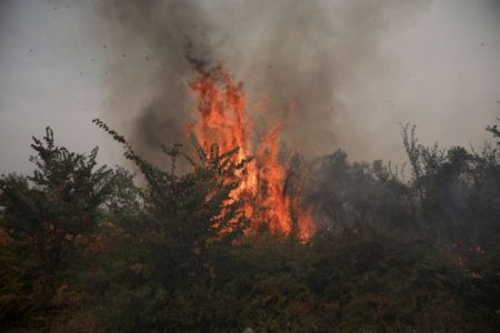 Φωτιά στην Εύβοια – Εκκενώνεται το Κέντρο Υγείας στο Μαντούδι