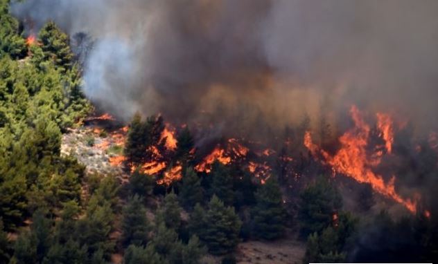 Φωτιά στην Ανατολική Μάνη – Κάηκαν σπίτια, εκκενώθηκαν οικισμοί και κάμπινγκ