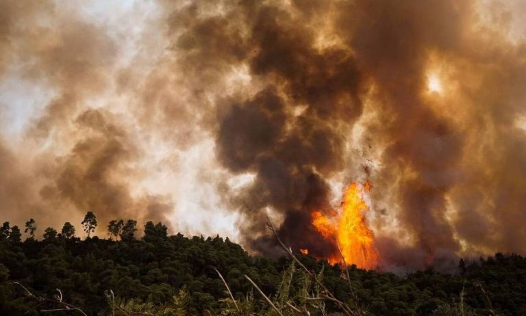 Φωτιά στην Εύβοια – Εντολή εκκένωσης της Λίμνης – Μήνυμα από το 112 | tovima.gr