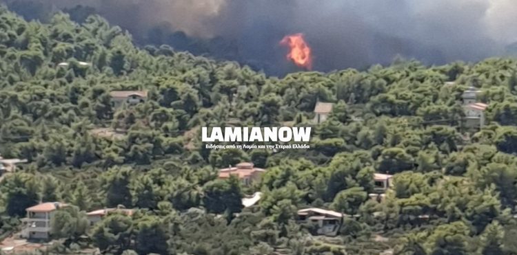 Φθιώτιδα – Μεγάλη φωτιά στο Θεολόγο – Κύκλωσε σπίτια, δόθηκε εντολή εκκένωσης | tovima.gr