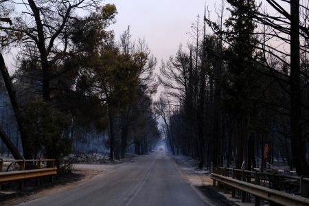 Φωτιά στην Αττική – Κάηκε το Κτήμα στο Τατόι – Ξέφυγε η φωτιά τη δεύτερη μέρα