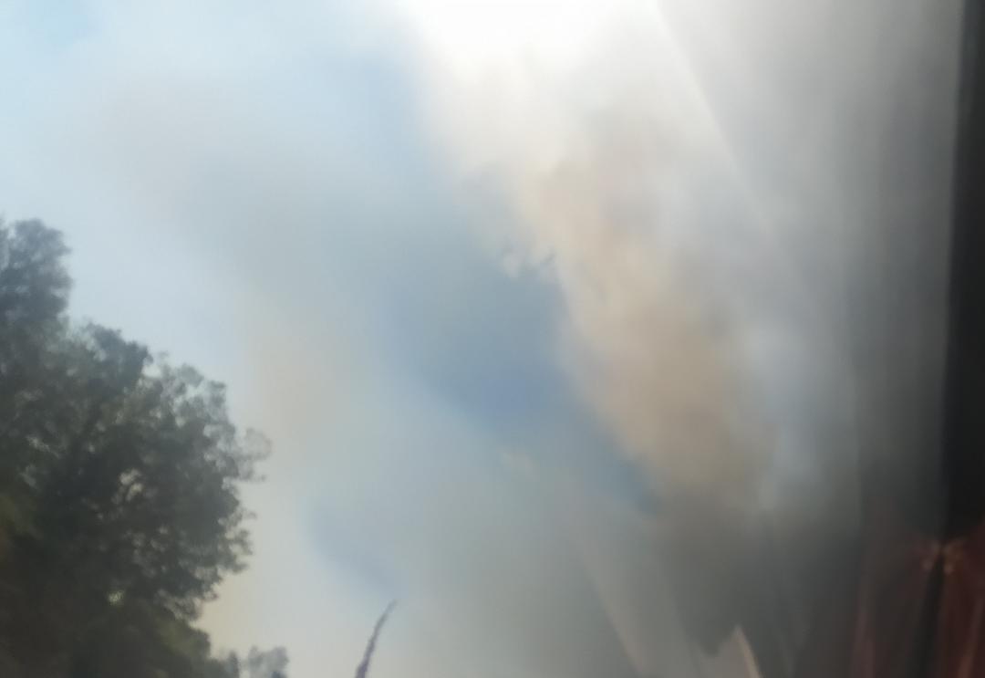 Φωτιά στην Ανατολική Μάνη – Εκκενώνονται Γύθειο και Μαυροβούνι