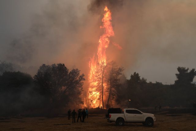Φωτιές – Συλλήψεις για εμπρησμό σε Φωκίδα, Καλαμάτα και Κρυονέρι