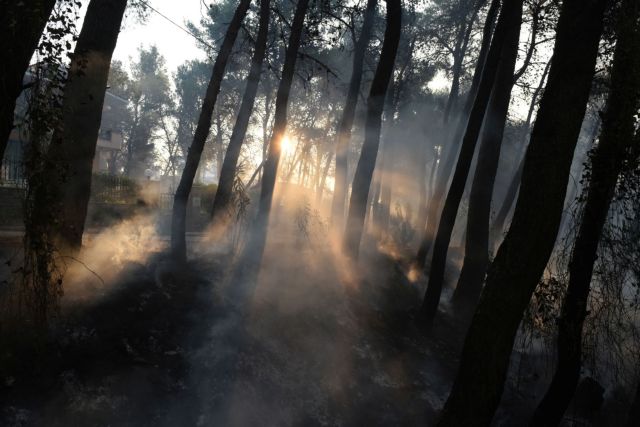 Οργανωμένο σχέδιο εμπρησμού  βλέπει ο Πατούλης πίσω από τις πυρκαγιές της Αττικής | tovima.gr