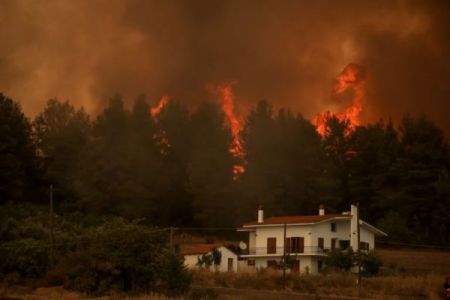 Φωτιές στην Εύβοια – Εφιάλτης δίχως τέλος με συνεχείς αναζωπυρώσεις – Μάχη για να μην περάσει η φωτιά το Καντήλι