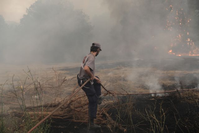 Φωτιά στην Αττική – Μετρούν τις πληγές τους οι κάτοικοι του Διονύσου – Τι λέει ο δήμαρχος στο MEGA | tovima.gr