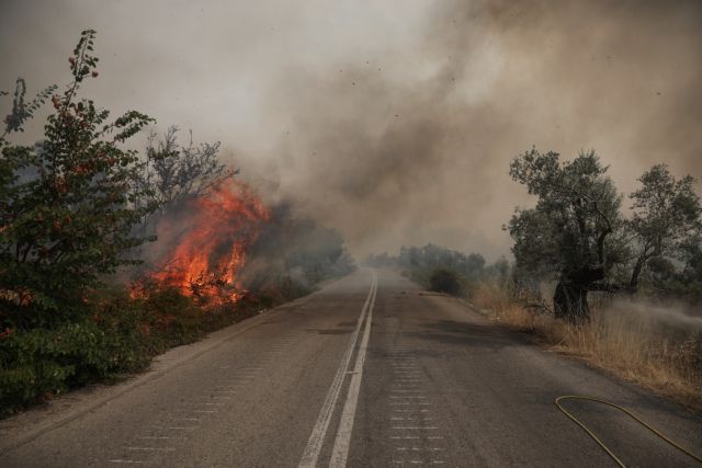 Φωτιές σε Εύβοια και Πελοπόννησο – Εννέα άτομα σε νοσοκομεία και Κέντρα Υγείας | tovima.gr