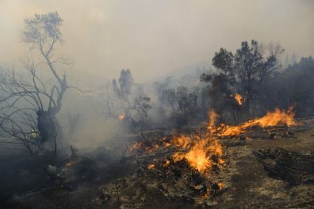 Αντιπεριφερειάρχης Ανατολικής Αττικής – «Έγινε μάχη στους Θρακομακεδόνες, γλιτώσαμε το κάψιμο πολλών σπιτιών»