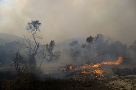 Λέκκας – Περίπου 500.000 στρέμματα καταστράφηκαν – Ο Αύγουστος θα είναι εφιαλτικός