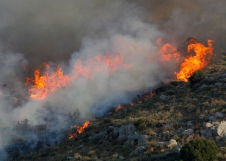 Φωτιές – Πάνω από 650.000 στρέμματα οι καμένες εκτάσεις σε Εύβοια, Αττική και Λακωνία έως το μεσημέρι της Κυριακής