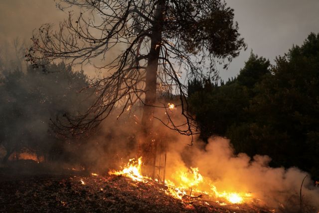 Felony indictment filed against man for wildfire arson near Kryoneri, north of Athens | tovima.gr