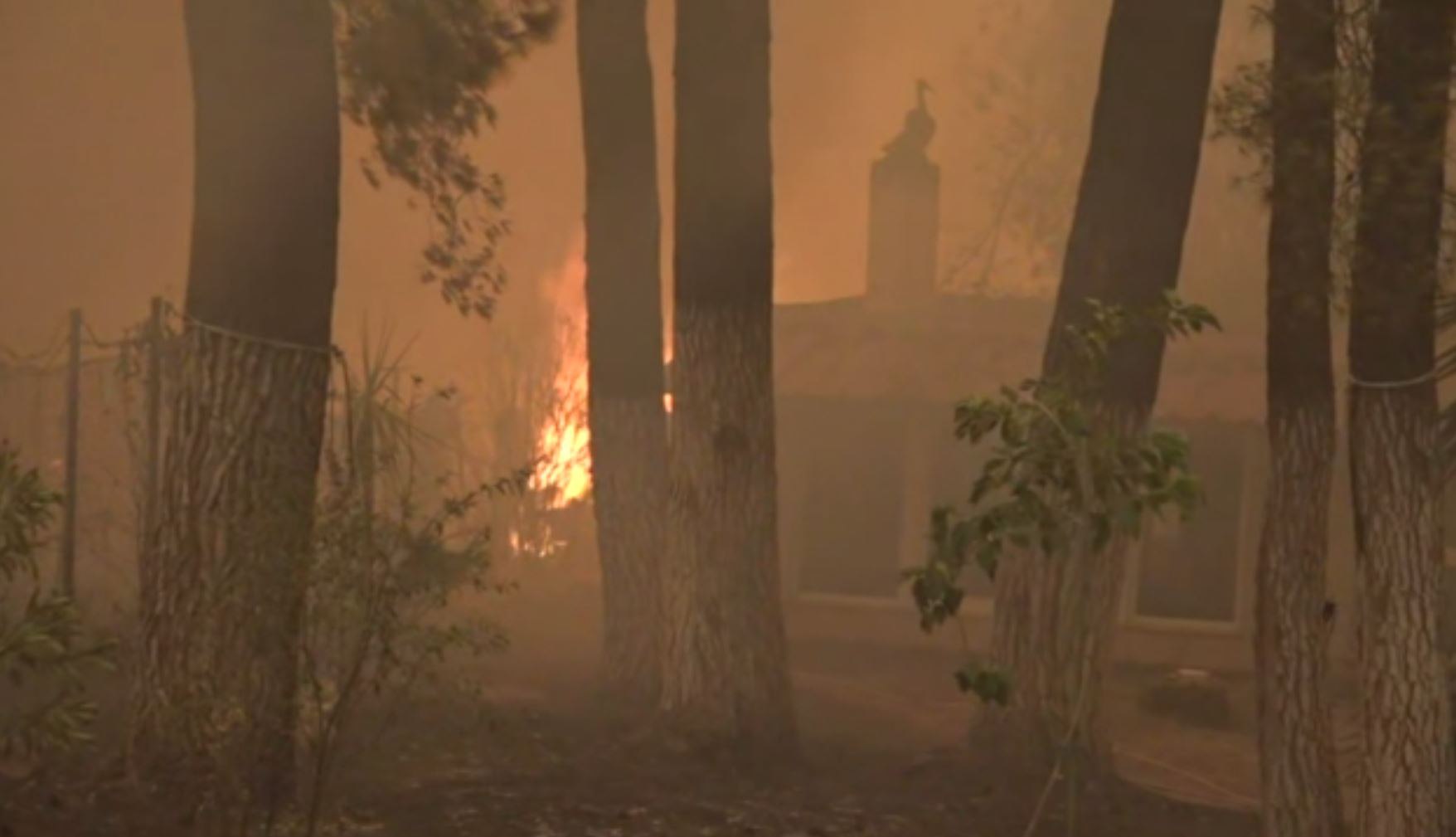 Φωτιά στην Εύβοια – «Χάνεται» η μάχη για το Πευκί – Καίγονται σπίτια