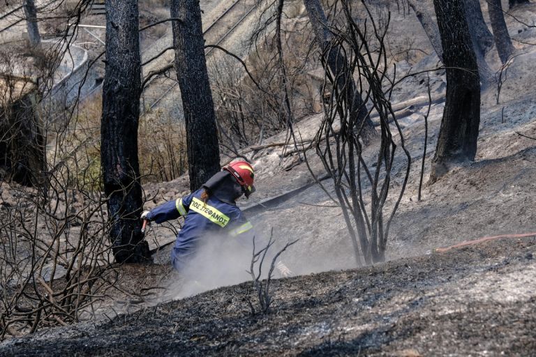 Φωτιά στην Εύβοια – Έχουν καεί 346.840 στρέμματα μέχρι τώρα | tovima.gr