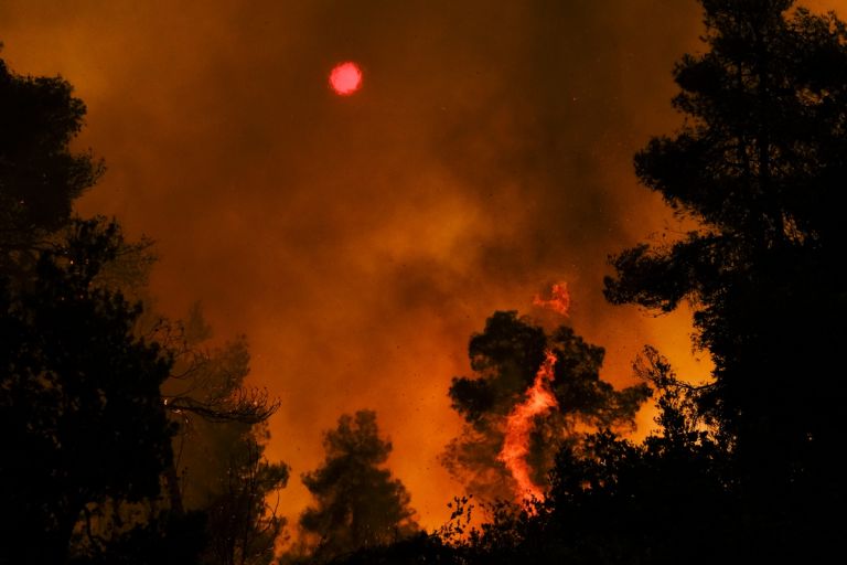 Φωτιές στην Ελλάδα – «Καμπανάκι» Λαγούβαρδου – Σύμμαχος για τις φωτιές οι άνεμοι στη βόρεια Εύβοια | tovima.gr