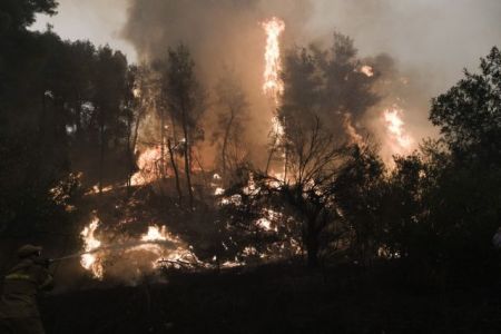 Λέκκας για φωτιές – Σε μία δεκαετία θα μπορέσουν να ανακάμψουν οι καμένες περιοχές
