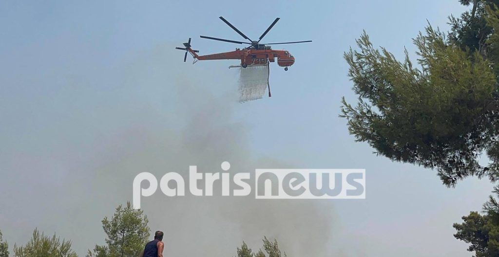 Φωτιά στην Αρχαία Ολυμπία – Μάχη με τις αναζωπυρώσεις σε Δούκα, Λάσδικα και Λάλα