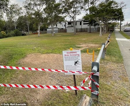 Αυστραλία – Βρέφος έχασε την ζωή του σε πάρκο μετά από επίθεση καρακάξας