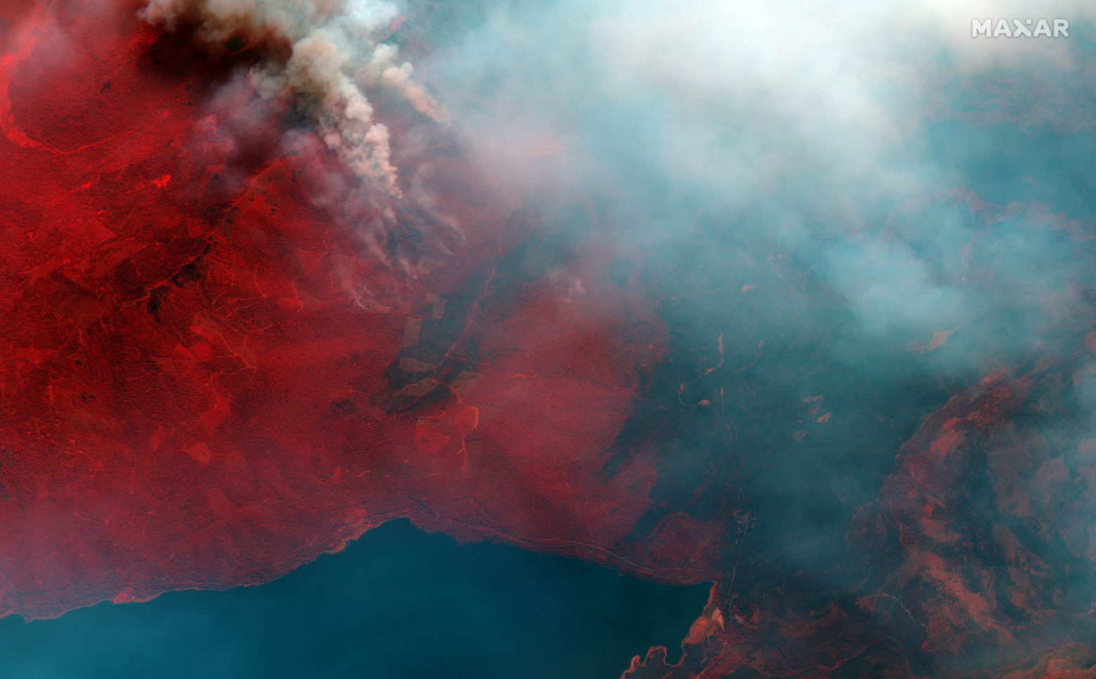 Incendi – Prima linea di incendi incontrollati negli Stati Uniti, Perù, Bolivia, Turchia e Italia – Notizie – notizie