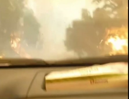 Αρκαδία – Αυτοκίνητο περνά μέσα από τις φλόγες – Συγκλονιστικό βίντεο | tovima.gr
