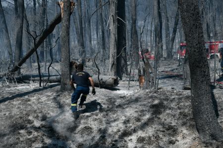 Πυρκαγιές – Τουλάχιστον 600 χιλιάδες στρέμματα τα καμένα σύμφωνα με το Εθνικό Αστεροσκοπείο