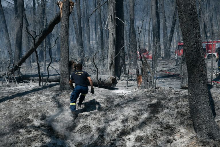 Πυρκαγιές – Τουλάχιστον 600 χιλιάδες στρέμματα τα καμένα σύμφωνα με το Εθνικό Αστεροσκοπείο | tovima.gr