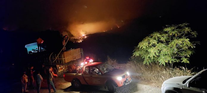 Φωτιά στη Γορτυνία – Μάχη με τις αναζωπυρώσεις – Εκκενώθηκαν συνολικά 21 οικισμοί | tovima.gr