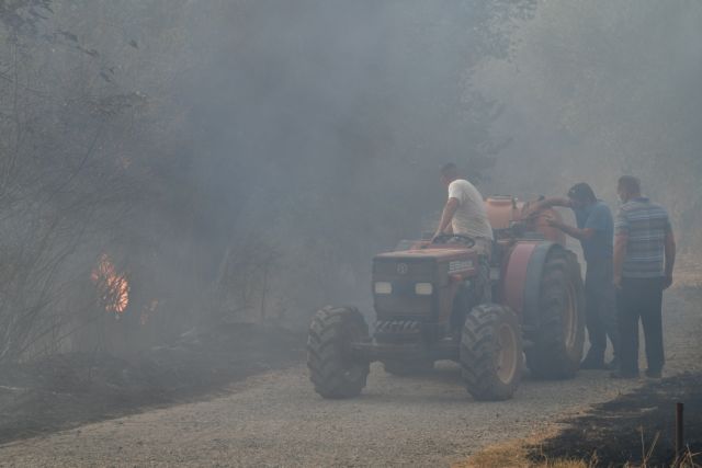 Φωτιά στη Γορτυνία – Συγκλονίζουν οι μαρτυρίες κατοίκων – «Η επόμενη μέρα είναι τραγική»