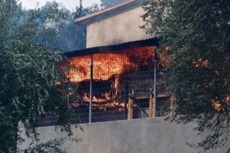 Πυρκαγιές – Επείγοντα μέτρα για την προστασία των θέσεων εργασίας – Εφάπαξ οικονομική ενίσχυση 6.000 ευρώ στους τραυματίες