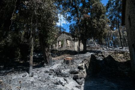 To Tατόι πριν και μετά την πυρκαγιά – Αποκαλυπτικές φωτογραφίες