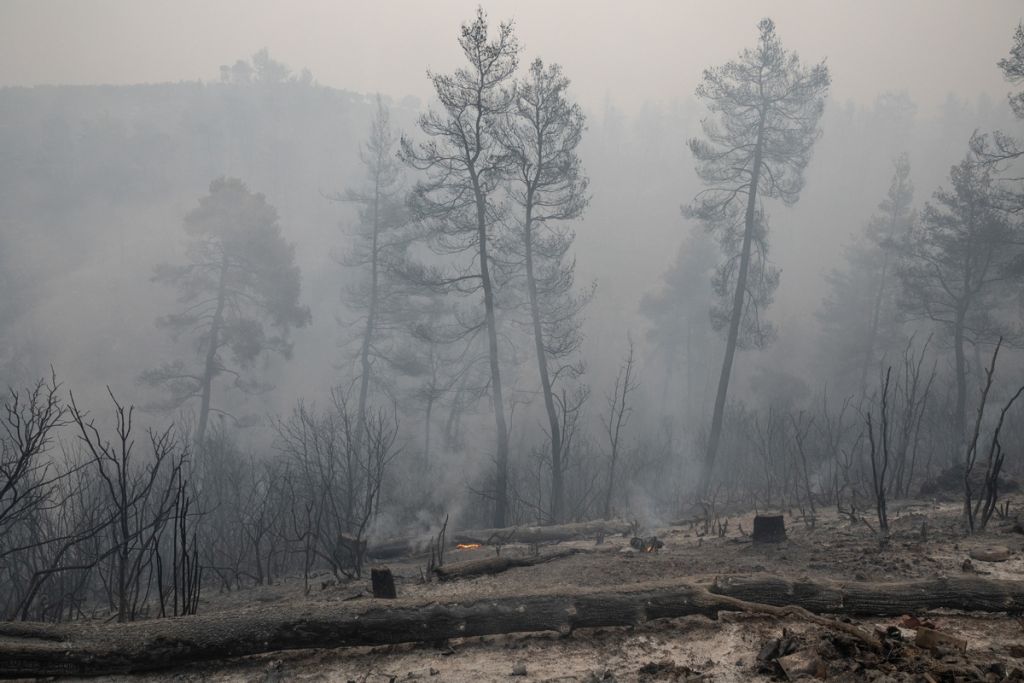 Βόρεια Εύβοια: Ο καμμένος τοξικός αμίαντος δεν έχει απομακρυνθεί