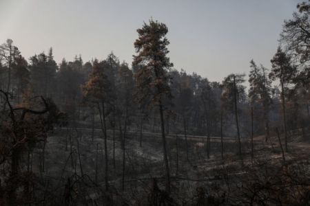 Εύβοια – Μεγάλο πλήγμα για τον τουρισμό οι φωτιές – Χάθηκε η σεζόν