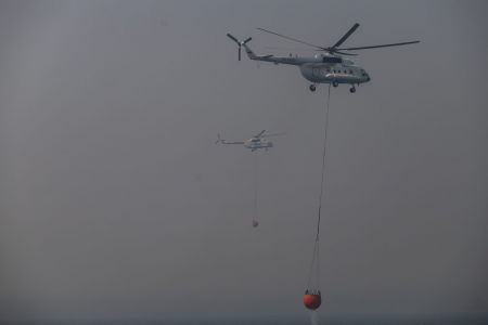 Μεσσηνία – Οι αποφάσεις για τους δύο άνδρες που κατηγορούνται για εμπρησμούς