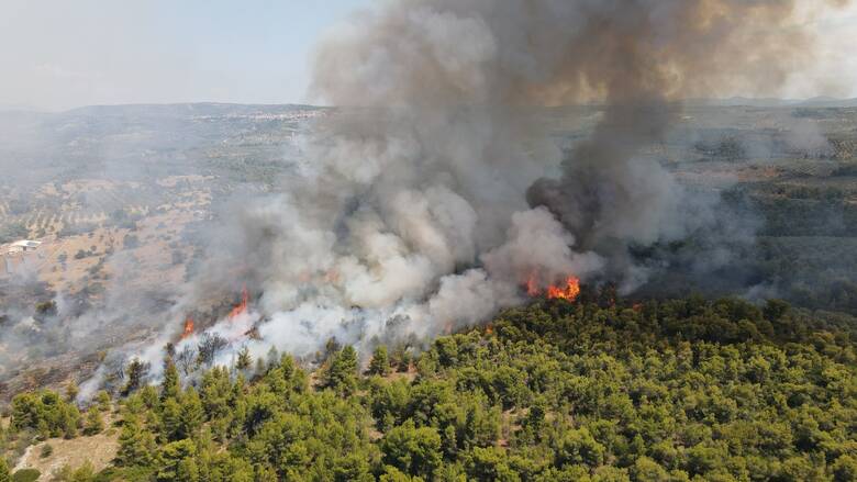 Φωτιά στη νότια Εύβοια – Πνέουν ισχυροί άνεμοι