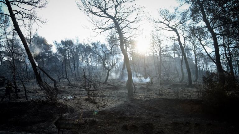 Φωτιές – Σύσκεψη υπό τον Μητσοτάκη για την ανασυγκρότηση των πυρόπληκτων περιοχών της Εύβοιας | tovima.gr