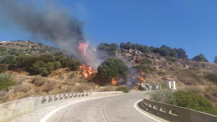 Φωτιά στην Κερατέα – Εκκενώνεται και η Συντερίνα – Νέο μήνυμα από το 112 | tovima.gr