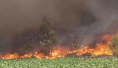 Σπίρτζης για φωτιές – «Γιατί δεν πετά το Beriev στις δύο περιοχές; – Πόσα μέσα ξένων χωρών επιχειρούν;»