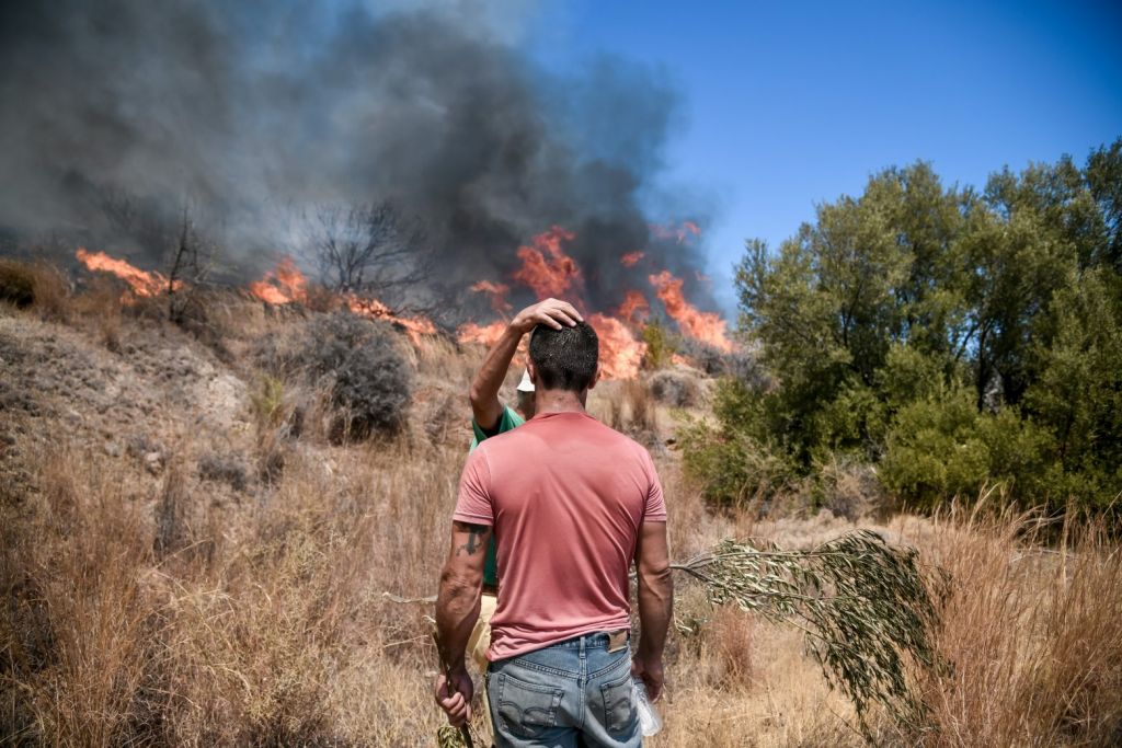 Βίλια – Μαίνεται η φωτιά – Νέο μήνυμα από το 112 για εκκενώσεις οικισμών