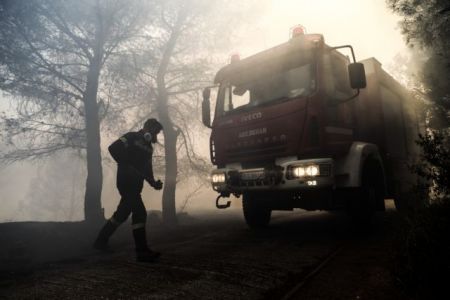 Φωτιά στην Αττική – Ολονύχτια μάχη με τις φλόγες στα Βίλια – Καλύτερη η εικόνα στη Λαυρεωτική