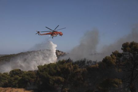 Φωτιά στη Φθιώτιδα: Ισχυρές δυνάμεις στο σημείο – 44 πυρκαγιές το τελευταίο 24ωρο