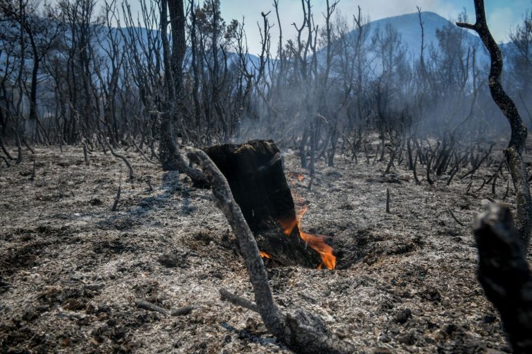 Φθιώτιδα – Προσήχθη 13χρονος για τις φωτιές στον Θεολόγο | tovima.gr