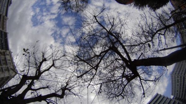 Καιρός – Θερμοκρασίες έως 40 βαθμούς και σκόνη στην ατμόσφαιρα – Σε ποιες περιοχές θα βρέξει