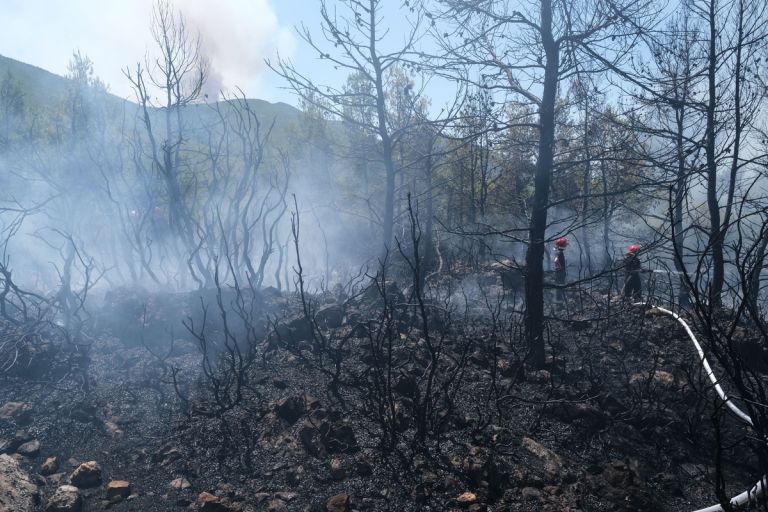 Φωτιές – Τα μέτρα για τους εργαζόμενους στις πυρόπληκτες περιοχές – Τι προβλέπει η ΚΥΑ | tovima.gr
