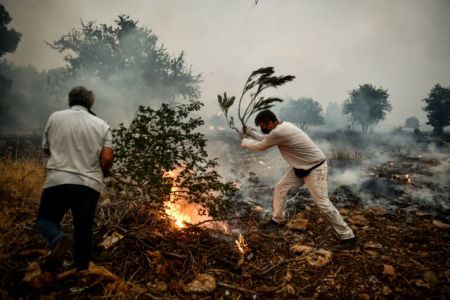 Βίλια – Ανεξέλεγκτη η φωτιά για τέταρτη μέρα – Πού υπάρχει ενεργό μέτωπο, πώς εκκενώθηκαν οι πέντε οικισμοί