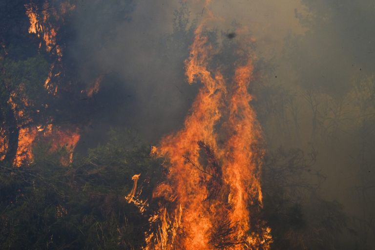 Μπόκαρης για φωτιές – Χάθηκαν πνεύμονες πρασίνου – Μεγάλες επιπτώσεις σε κλίμα, οικονομία | tovima.gr