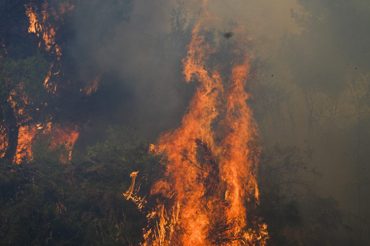 Μπόκαρης για φωτιές – Χάθηκαν πνεύμονες πρασίνου – Μεγάλες επιπτώσεις σε κλίμα, οικονομία