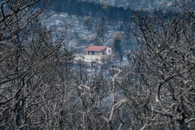 Πυρκαγιές – 24ωρες περιπολίες από ΕΛ.ΑΣ και στρατό | tovima.gr