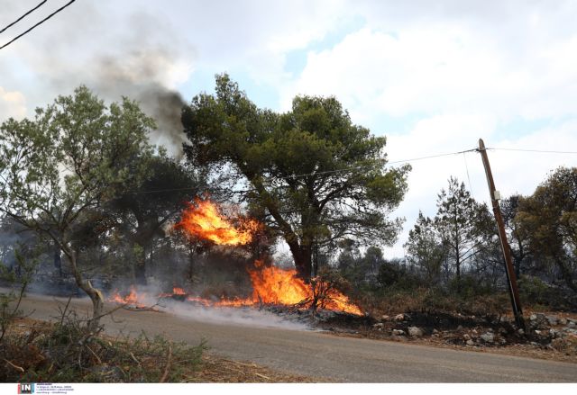 Βίλια – Ολονύχτια μάχη με τις φλόγες – Περιπολίες από στρατό και αστυνομία