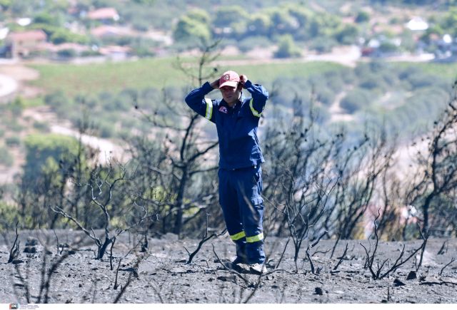 Φωτιά στην Κερατέα – Πέταξαν φωτοβολίδες στο δάσος και ξέσπασε πυρκαγιά | tovima.gr